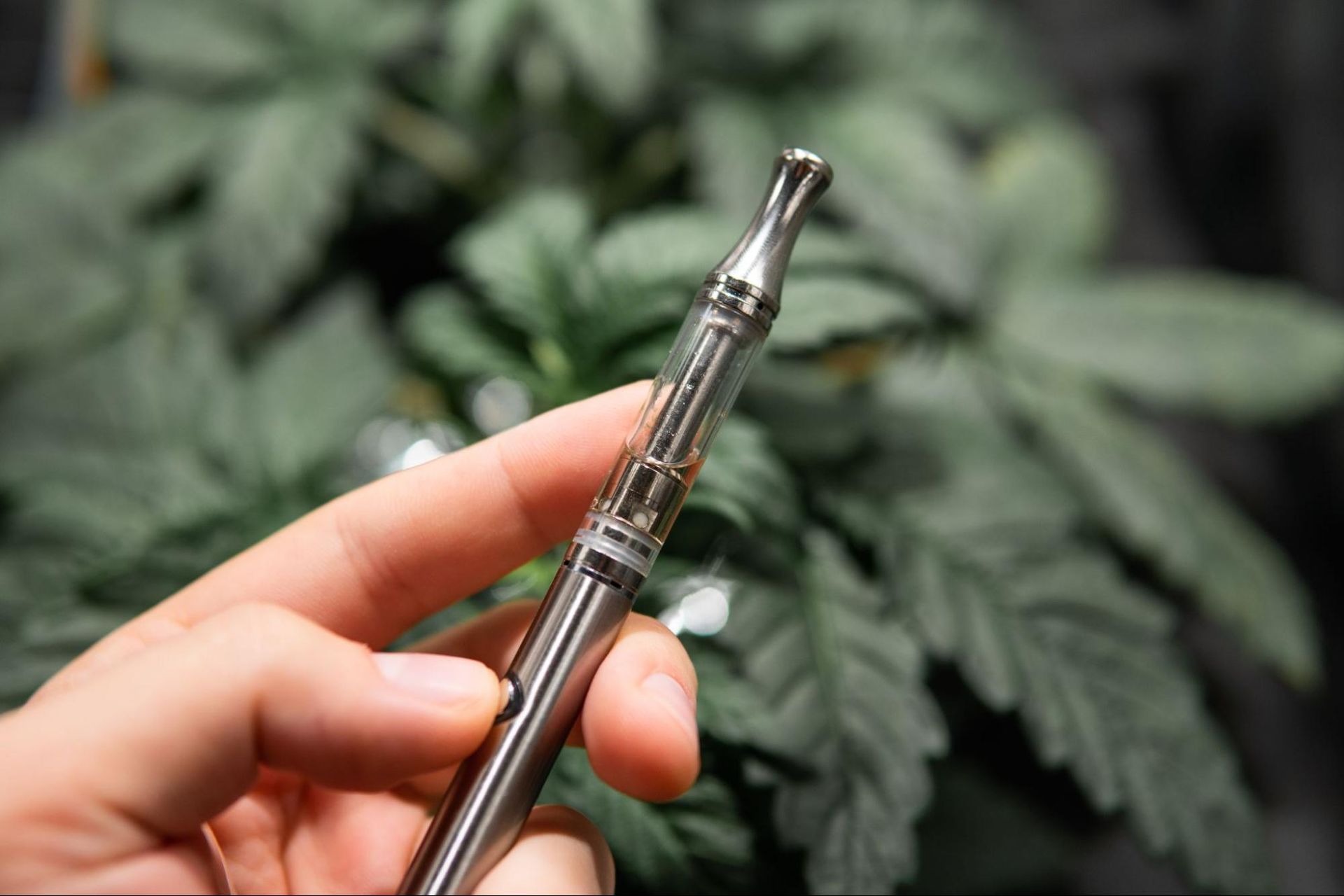 A hand is holding a cbd vape pen
